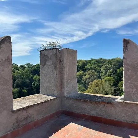 Castello Di Torre In Pietra By Interhome Apartment