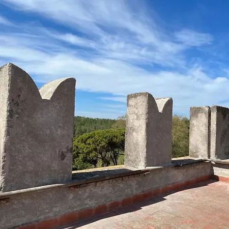 Apartment Castello Di Torre In Pietra By Interhome *